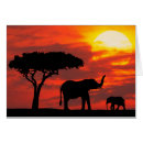 Search for sri lanka postcards Sunset