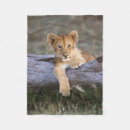 Search for lion cub blankets Wildcat
