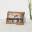 Search for collie birthday cards Photography