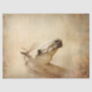 Search for horse tissue paper Watercolor