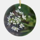 Search for blossoms christmas tree decorations Floral