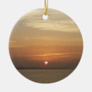 Search for aruba christmas tree decorations Seascape