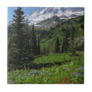 Search for mount rainier tiles Outdoors