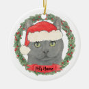 Search for domestic christmas tree decorations Green
