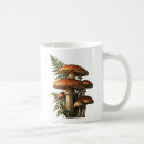 Search for amanita mugs Forest