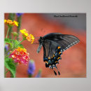 Search for hobbie posters Black
