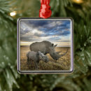 Search for animals of the wild christmas tree decorations Cute baby animal