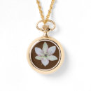 Search for lilies watches Floral