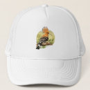 Search for bird drawing hats Beautiful