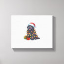 Search for newfoundland canvas prints Pug