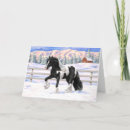 Search for gypsy cards Irish cob