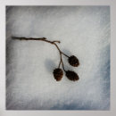 Search for twigs posters Brown