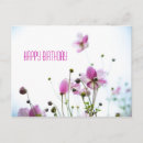 Search for anemone cards Autumn