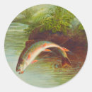 Search for fish illustration stickers Sea