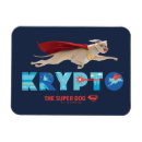 Search for superman rectangular magnets Dc super pets