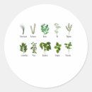 Search for garden herbs stickers Rosemary