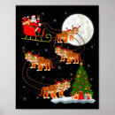 Search for funny tiger posters Cool