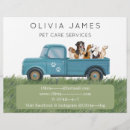 Search for promote flyers Pet care