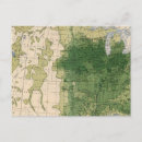 Search for swine postcards Agriculture
