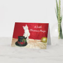 Search for maine coon cat christmas cards Kitten