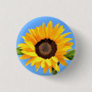 Search for sun flower badges Nature