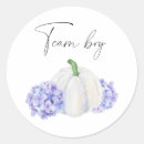 Search for boy pumpkin stickers Autumn