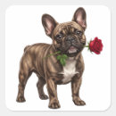 Search for frenchie stickers Adorable