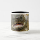 Search for snapping mugs Turtle