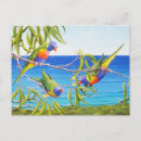 Search for australian postcards Animal