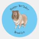 Search for collie dog stickers Puppies