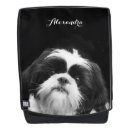 Search for shih tzu accessories Animal