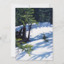 Search for sunlit cards Snow