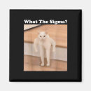 Search for sigma magnets Cat lover