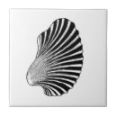 Search for scallop shell tiles Beach