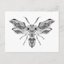 Search for wasps postcards Bee