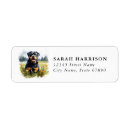 Search for rottweiler return address labels Puppy