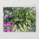 Search for vein postcards Garden