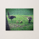 Search for goslings puzzles Geese