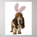 Search for easter posters Dog