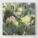 Search for sustainable clocks Nature
