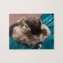 Search for pet puzzles Girl