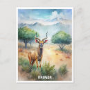 Search for kruger national park posters Nature