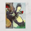 Search for cavity postcards Bird