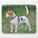 Search for hunting mouse mats Pet