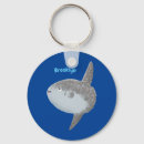 Search for oceanic key rings Fish