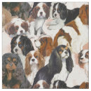 Search for spaniel fabric Cavalier