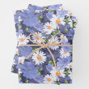 Search for daisy wrapping paper Birthday