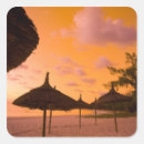 Search for beach hut crafts party Tropical