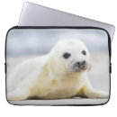 Search for photo laptop cases Nature