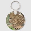 Search for toad key rings Nature